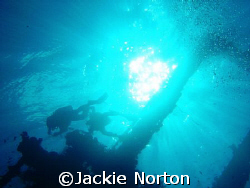 wreak diving by Jackie Norton 